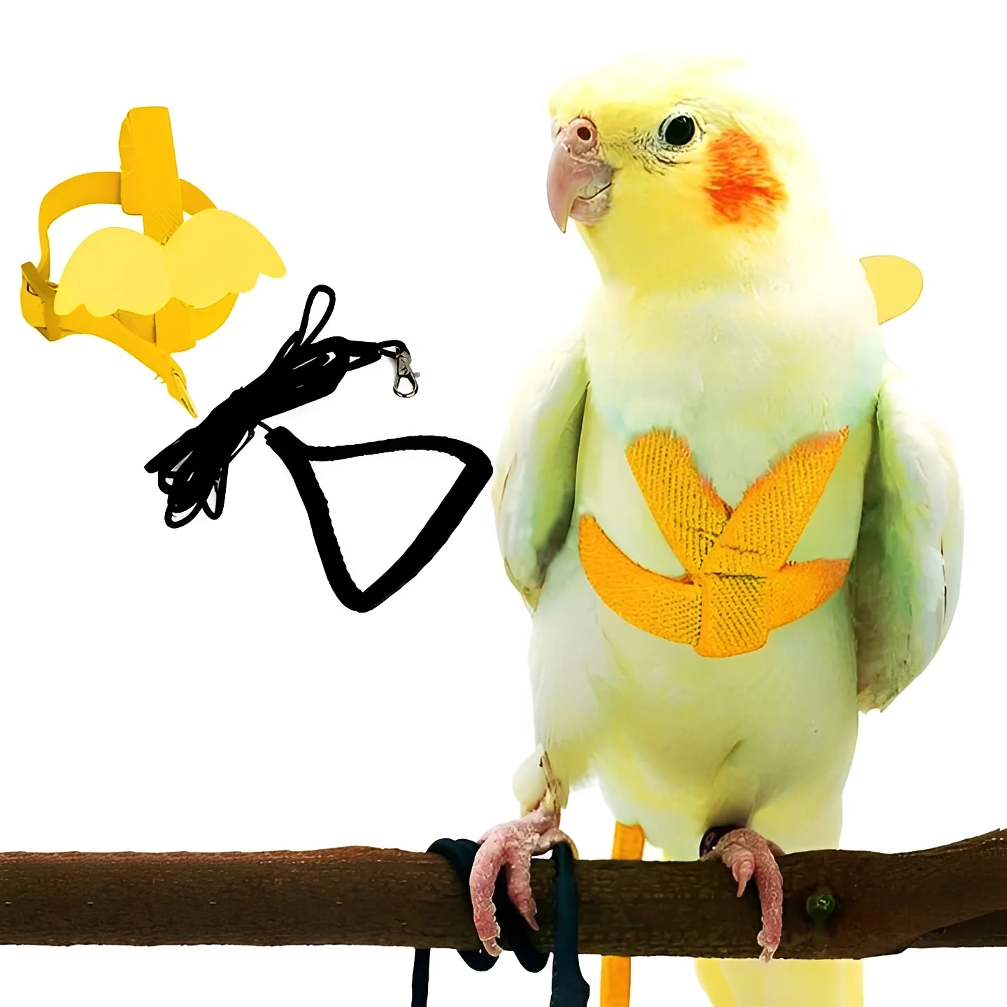 Thumbnail 4
